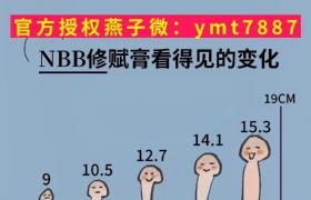 nbb增大膏多少錢(qián)一盒？真假查詢步驟